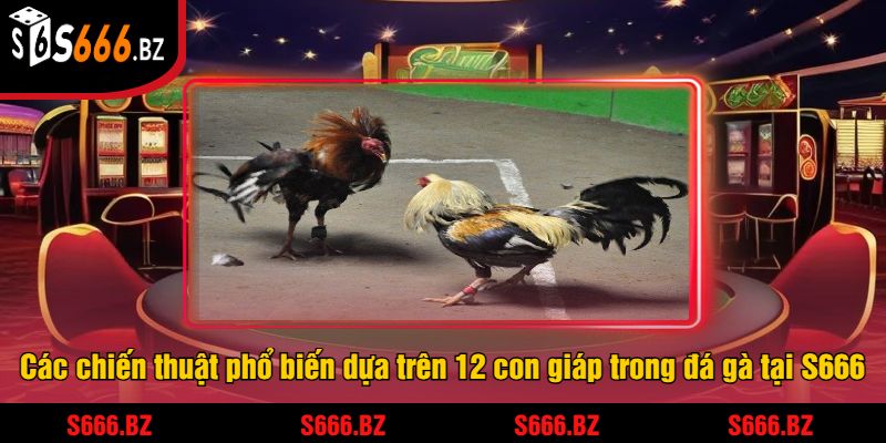Các chiến thuật phổ biến dựa trên 12 con giáp trong đá gà tại S666