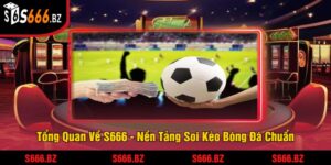 Tổng Quan Về S666 - Nền Tảng Soi Kèo Bóng Đá Chuẩn
